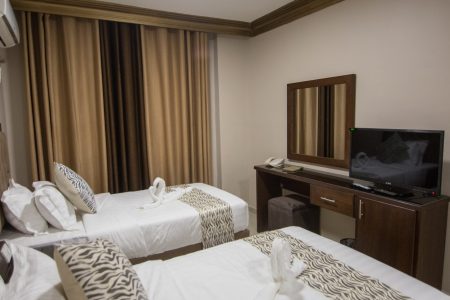 Deluxe Twin Bed Room